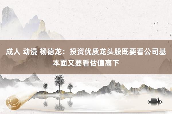 成人 动漫 杨德龙：投资优质龙头股既要看公司基本面又要看估值高下