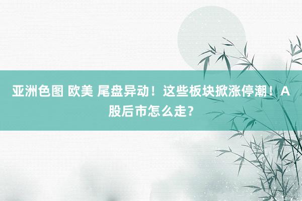 亚洲色图 欧美 尾盘异动！这些板块掀涨停潮！A股后市怎么走？