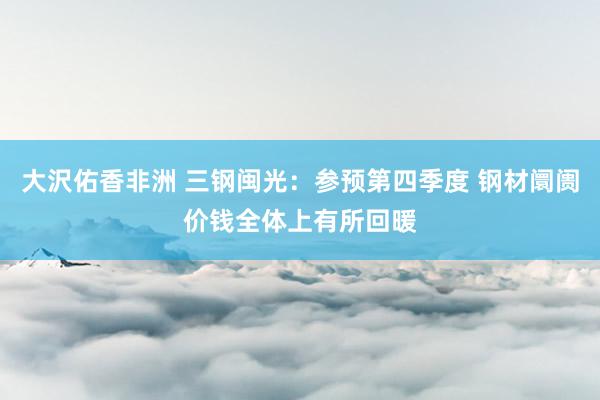 大沢佑香非洲 三钢闽光：参预第四季度 钢材阛阓价钱全体上有所回暖
