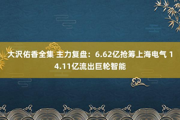 大沢佑香全集 主力复盘：6.62亿抢筹上海电气 14.11亿流出巨轮智能