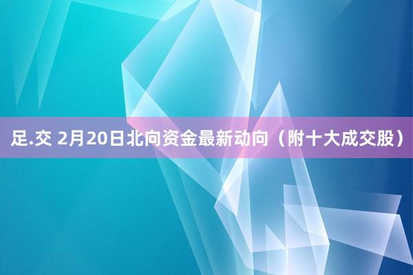 足.交 2月20日北向资金最新动向（附十大成交股）