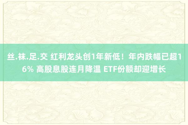丝.袜.足.交 红利龙头创1年新低！年内跌幅已超16% 高股息股连月降温 ETF份额却迎增长