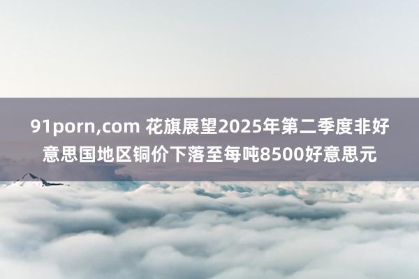 91porn，com 花旗展望2025年第二季度非好意思国地区铜价下落至每吨8500好意思元
