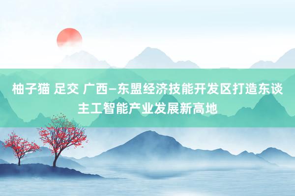 柚子猫 足交 广西—东盟经济技能开发区打造东谈主工智能产业发展新高地