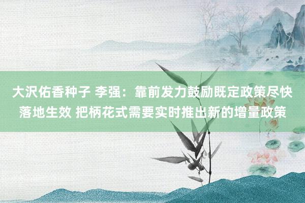 大沢佑香种子 李强：靠前发力鼓励既定政策尽快落地生效 把柄花式需要实时推出新的增量政策